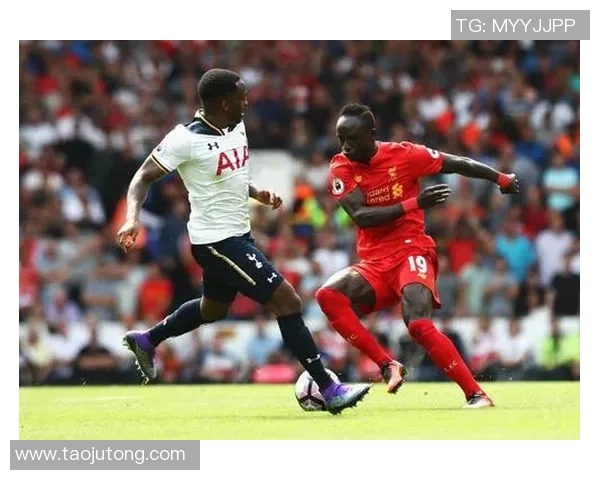 彩虹足球球星名单盘点与辉煌瞬间全面解析